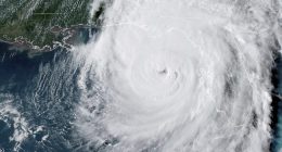 For New Yorkers Looking to Flee, a Cautionary Warning: Florida Is Not the Paradise You May Envision