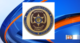 'Click it or Ticket' ahead of Memorial Day, Champaign Co. Sheriff says
