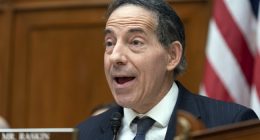 Jamie Raskin Is Going to Have a Tough Time Getting Off the Mat After This Trump Roundhouse