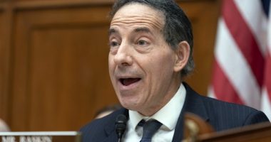 Jamie Raskin Is Going to Have a Tough Time Getting Off the Mat After This Trump Roundhouse