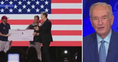 Bill O'Reilly believes Elon Musk, DOGE are 'right on track'