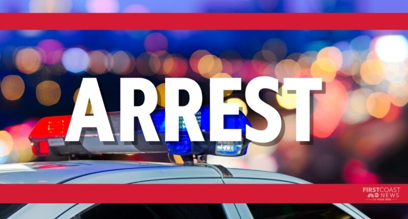 Ponte Vedra man charged with enticement of a minor