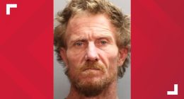 Jacksonville man pleads guilty to murder of girlfriend in October
