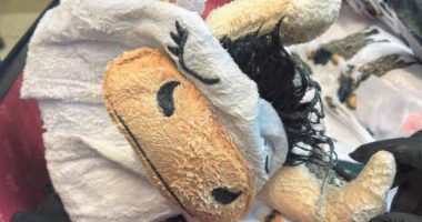 Meth-covered cow onesie in luggage smuggler admits guilt