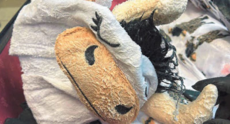 Meth-covered cow onesie in luggage smuggler admits guilt