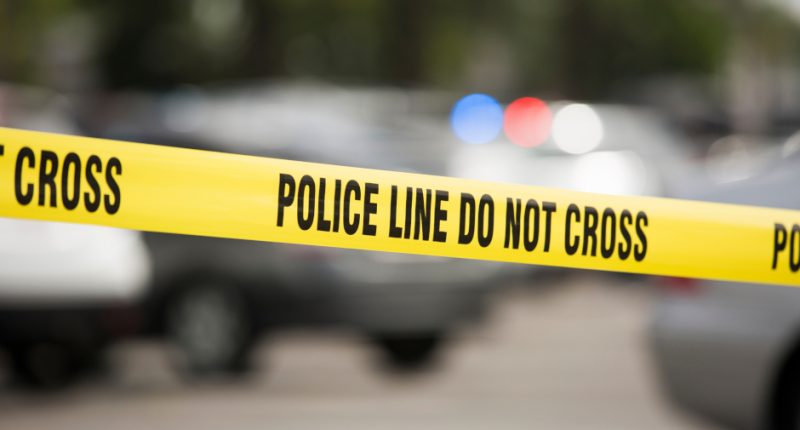 Developing: Chicago Mother Allegedly Stabs 4-year-old Boy in Abdomen