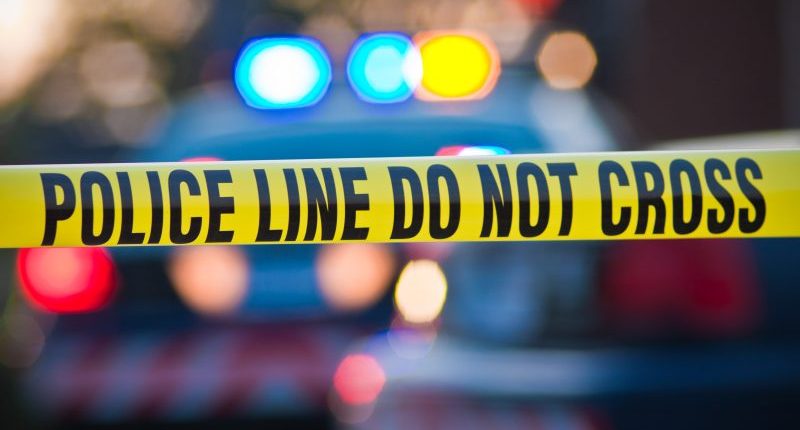 Parents charged in death of 7-year-old hit by car in North Carolina