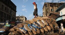 India consumer inflation extends slide to more than 6-year lows
