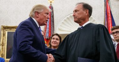 'The Court has no good reason': Alito berates SCOTUS colleagues for shadow docket ruling that limits Trump's power over National Guard deployments