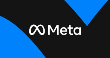 Meta had a 17-strike policy for sex trafficking, former safety leader claims