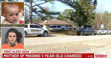 Missing 1-year-old found in family's 'burn pile': Cops