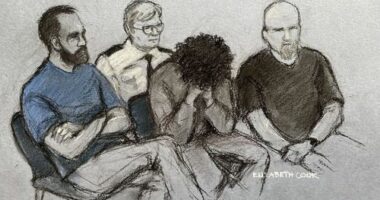 Their deaths could and should have been prevented