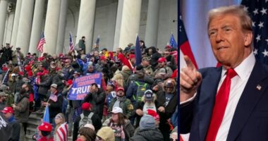 'Making sure that history is not rewritten': Cops ask federal judge to 'compel' Capitol architect to 'follow the law' and install years-delayed Jan. 6 memorial plaque