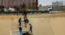 Americans pick which migrants Trump should send home first as mass deportation plan gets universal support