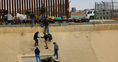 Americans pick which migrants Trump should send home first as mass deportation plan gets universal support