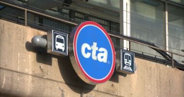 No CTA trains will run on Chicago Loop elevated rails this weekend for track work, including Brown, Green, Orange and Pink lines