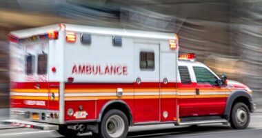 Motorcycle crash on Route 45, north of Dada Drive, leaves 1 dead in unincorporated Gurnee, Illinois: Lake County Sheriff's Office