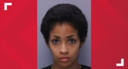 Woman charged in St. Augustine stabbing due back in court after ruled competent