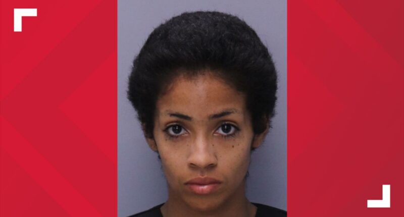 Woman charged in St. Augustine stabbing due back in court after ruled competent