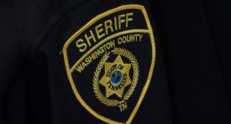 WCSO: 2 jailed after assaults with hammer, gun