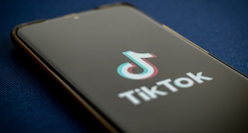 TikTok's algorithm and data will be controlled 'by America,' White House says