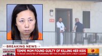 Mom who butchered kids with meat cleaver learns fate