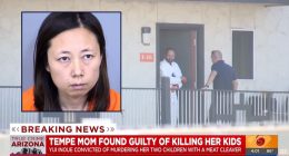 Mom who butchered kids with meat cleaver learns fate