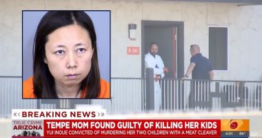 Mom who butchered kids with meat cleaver learns fate
