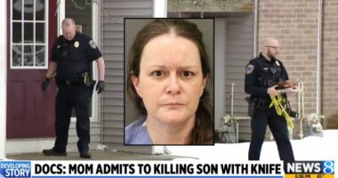 'It was out of love': Mom's murder pact with son that she says involved slashing his throat because he didn't want to grow up lands her in prison for decades