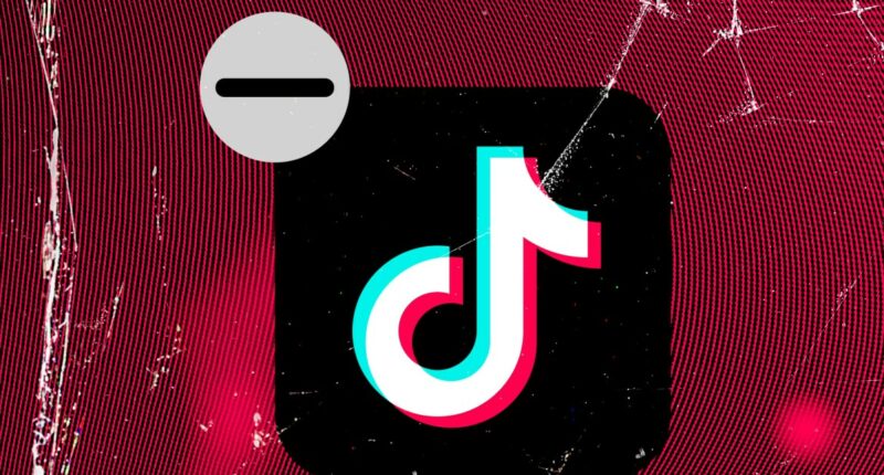 All the ways TikTok is broken: here’s what’s real and what’s not