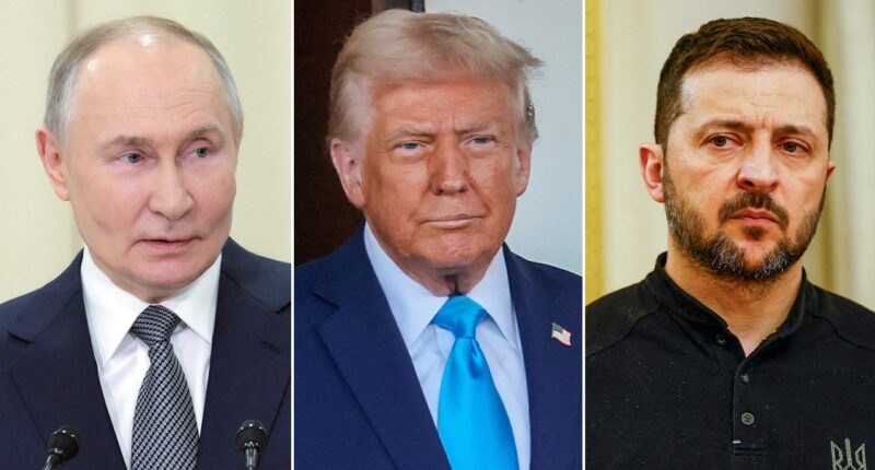 Zelenskyy tells Putin to 'be brave' and finally agree to trilateral meeting with Trump