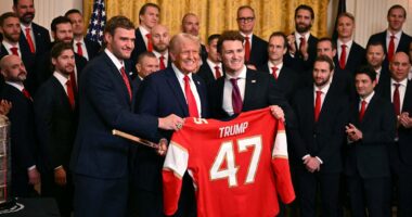 Polls show uptick in Trump's favorability rating since election win