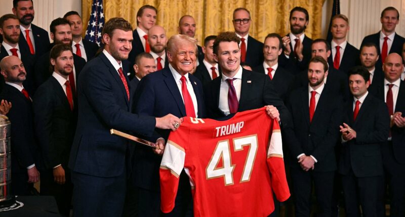 Polls show uptick in Trump's favorability rating since election win