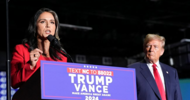 DNI Gabbard Details More Jaw-Dopping Info on Obama's Effort to 'Subvert the American People's Will'