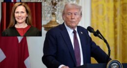 Barrett sparks avalanche of skepticism on Trump's tariffs