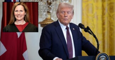 Barrett sparks avalanche of skepticism on Trump's tariffs