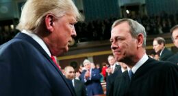 Chief Justice Roberts just handed Trump another win for now