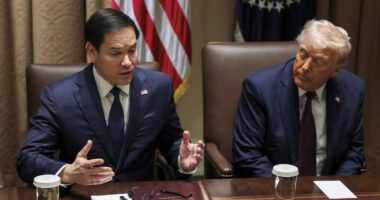 'The court is outraged': Judge bashes ICE over 'unlawful actions' and State Dept. over thousands of 'inappropriately' revoked international student visas