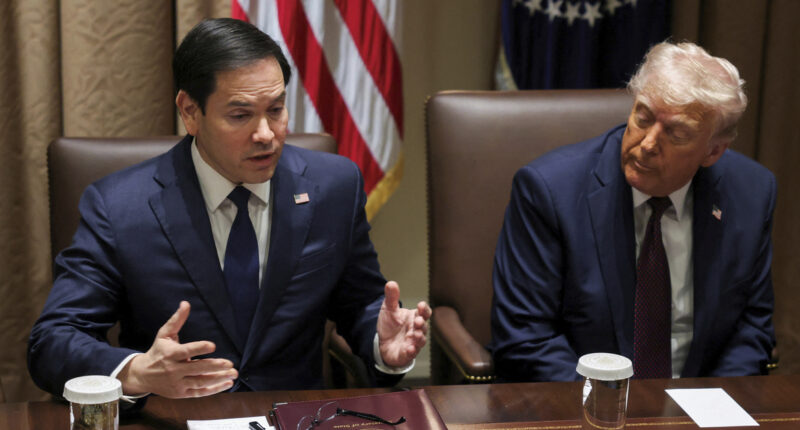 'The court is outraged': Judge bashes ICE over 'unlawful actions' and State Dept. over thousands of 'inappropriately' revoked international student visas