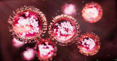 Measles morbillivirus structure - 3d rendered image. Abstract background.