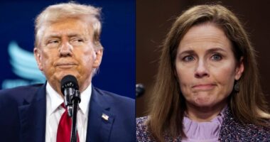 Little SCOTUS can do if Trump defies court
