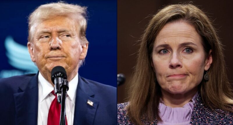 Little SCOTUS can do if Trump defies court