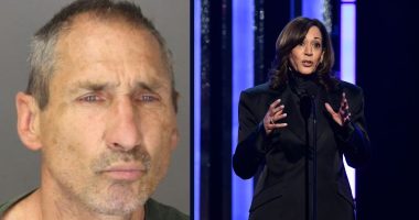 Man behind racist Kamala Harris flyer attack learns fate