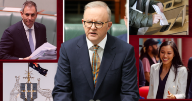 Anthony Albanese, Jim Chalmers and Tu Le.