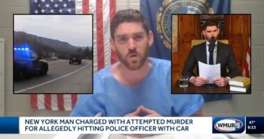 YouTuber who mowed down cop gets plea deal, officer upset