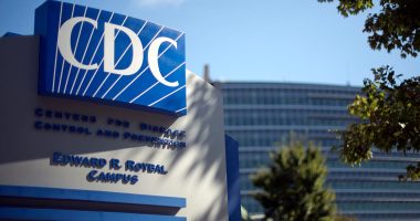 Salmonella outbreak linked to egg recall sickens dozens
