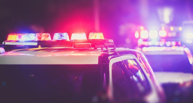 Florida man punches deputy, tries to steal fire truck, deputies say