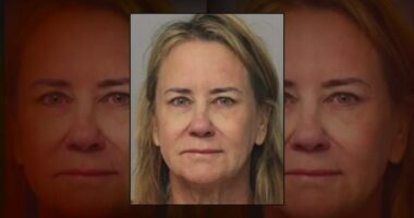 Defense for St. Simons Island dentist rests; children, sister take the stand in murder trial