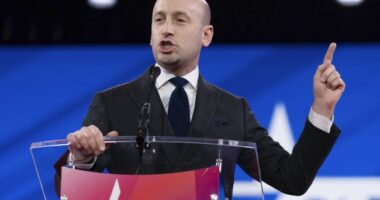 Stephen Miller Is Fed Up, Sounds the Alarm to Protect ICE Agents From 'Inspiring Domestic Terrorism'