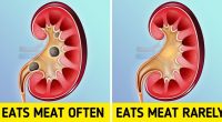 What Happens to Your Body When You Eat Too Much Meat